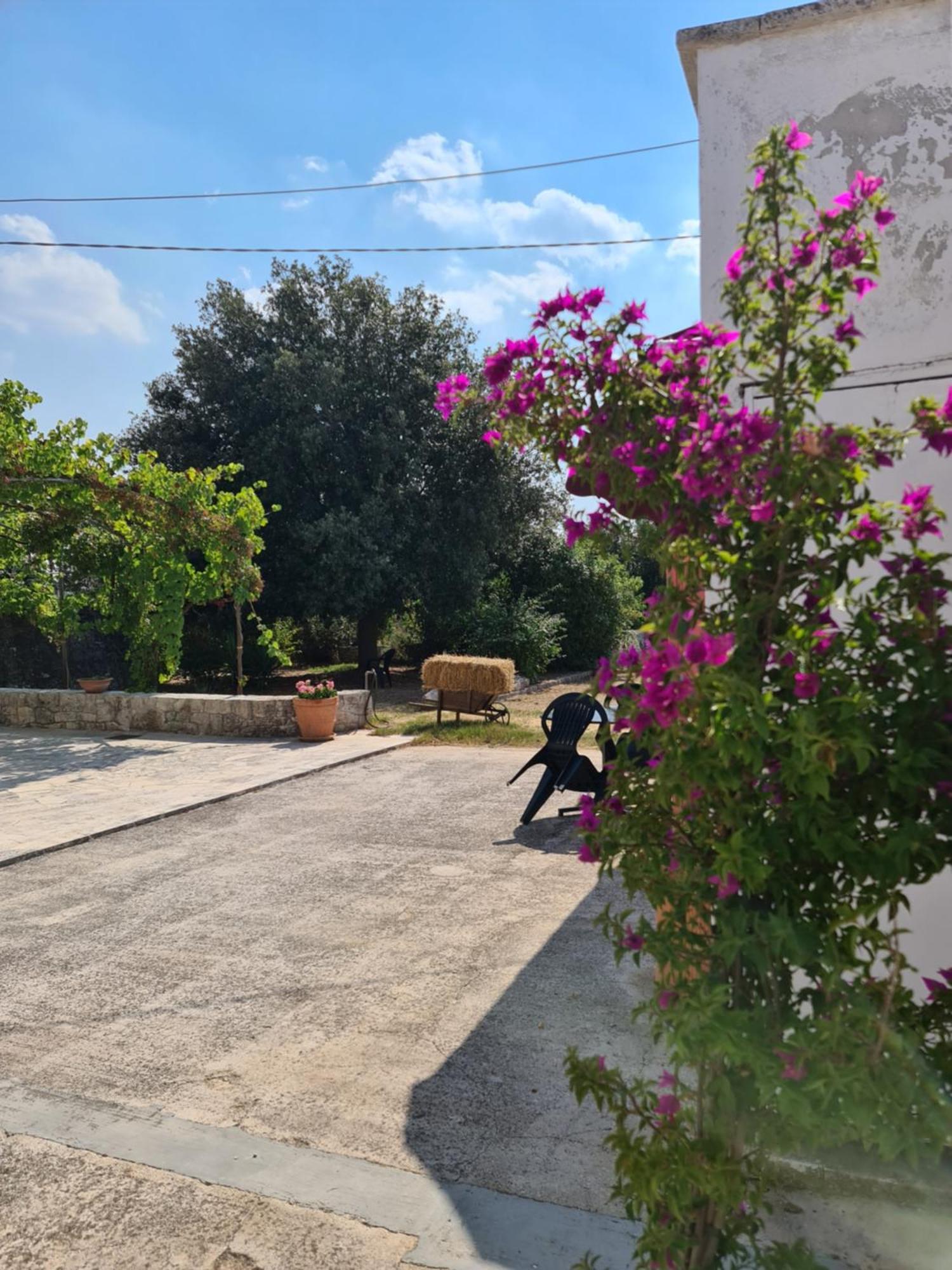 Masseria Gianca Чистернино Экстерьер фото