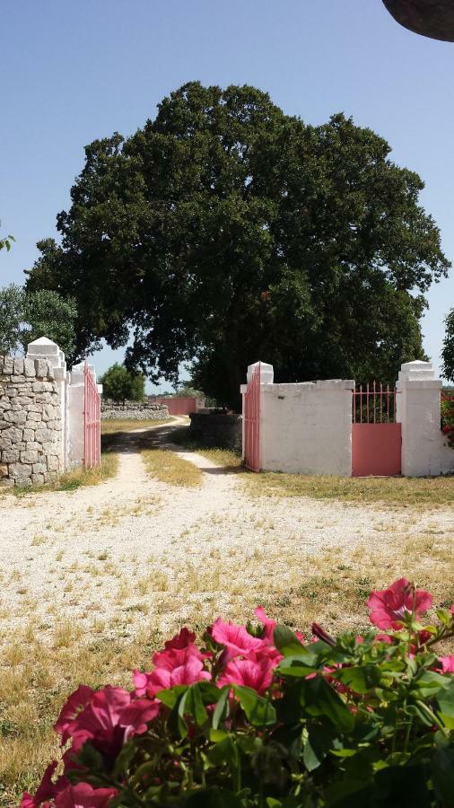 Masseria Gianca Чистернино Экстерьер фото