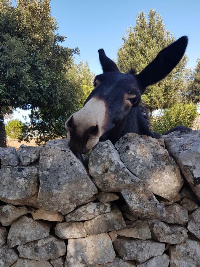 Masseria Gianca Чистернино Экстерьер фото